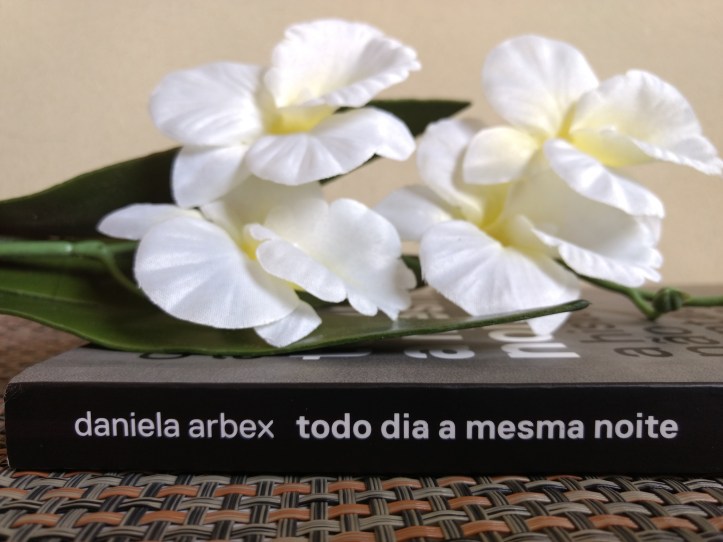 Todo dia a mesma noite Daniela Arbex